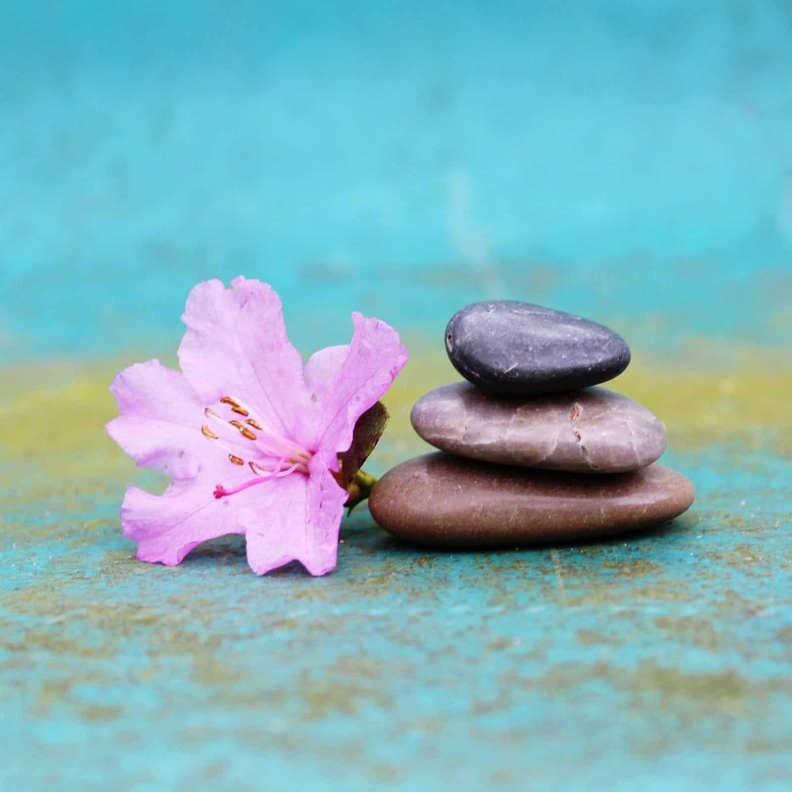 Initiation au reiki soluna