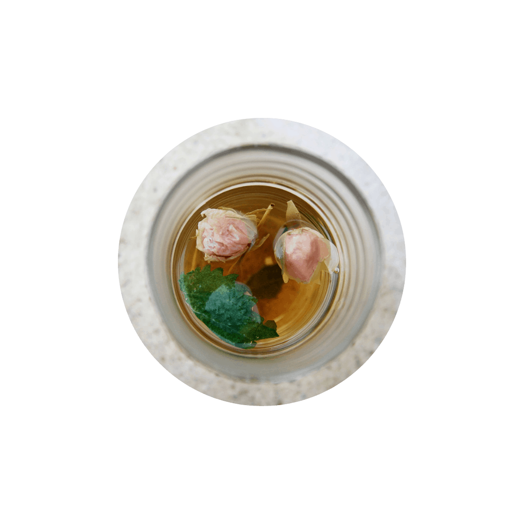 soluna parenthese hiver alimentation soluna parenthese hiver alimentation